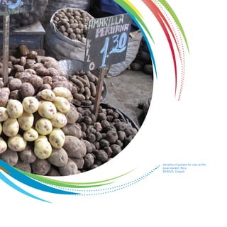 Varieties of potato for sale at the 
local market, Peru 
©FAO/S. Cespoli 
 