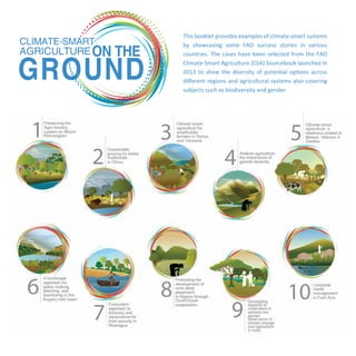 CLIMATE-SMART 
AGRICULTURE GROUND ON THE 
This booklet provides examples of climate-smart systems 
by showcasing some FAO success stories in various 
countries. The cases have been selected from the FAO 
Climate-Smart Agriculture (CSA) Sourcebook launched in 
2013 to show the diversity of potential options across 
different regions and agricultural systems also covering 
subjects such as biodiversity and gender. 
 