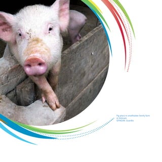 Pig place in smallholder family farm 
in Vietnam 
©FAO/M. Guardia 
 