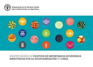 IDENTIFICACIÓN DE CULTIVOS DE IMPORTANCIA ECONÓMICA
IMPACTADOS POR LA ZOOPOLINIZACIÓN EN CHILE
 