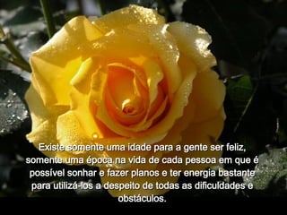 Existe somente uma idade para a gente ser feliz, somente uma época na vida de cada pessoa em que é possível sonhar e fazer planos e ter energia bastante para utilizá-los a despeito de todas as dificuldades e obstáculos. 