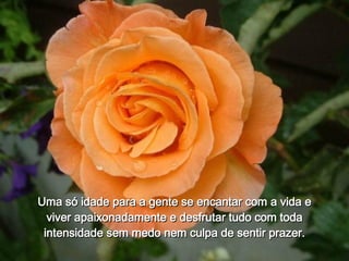 Uma só idade para a gente se encantar com a vida e viver apaixonadamente e desfrutar tudo com toda intensidade sem medo nem culpa de sentir prazer. 