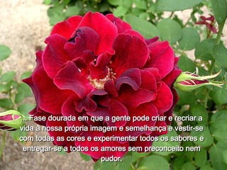 ... Fase dourada em que a gente pode criar e recriar a vida à nossa própria imagem e semelhança e vestir-se com todas as cores e experimentar todos os sabores e entregar-se a todos os amores sem preconceito nem pudor. 