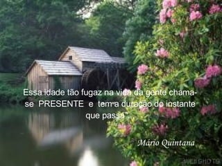 Essa idade tão fugaz na vida da gente chama-se  PRESENTE  e  tem a duração do instante que passa”... Mário Quintana 
