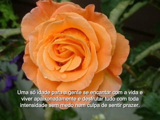 Uma só idade para a gente se encantar com a vida e viver apaixonadamente e desfrutar tudo com toda intensidade sem medo nem culpa de sentir prazer. 
