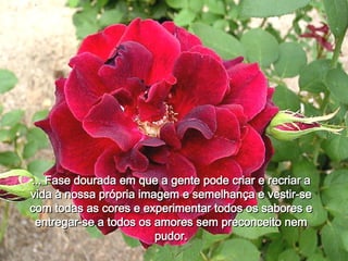 ... Fase dourada em que a gente pode criar e recriar a vida à nossa própria imagem e semelhança e vestir-se com todas as cores e experimentar todos os sabores e entregar-se a todos os amores sem preconceito nem pudor. 