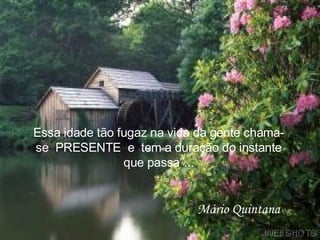 Essa idade tão fugaz na vida da gente chama-se  PRESENTE  e  tem a duração do instante que passa”... Mário Quintana 