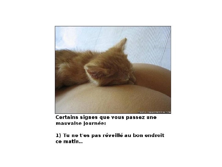 Ca ira mieux promo demain