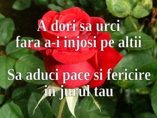 Diapositive de résumé Diapositive de résumé A dori sa urci  fara a-i injosi pe altii Sa aduci pace si fericire in jurul tau 