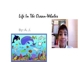 Life In The Ocean-Whales By: A. J. 