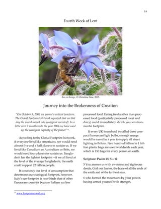 A Journey Into Wholeness  Final