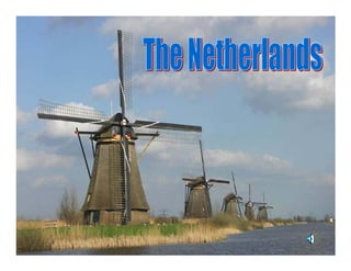 A Journey through Holland