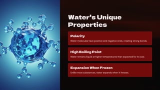 Water's Unique
Properties
Polarity
Water molecules have positive and negative ends, creating strong bonds.
High Boiling Point
Water remains liquid at higher temperatures than expected for its size.
Expansion When Frozen
Unlike most substances, water expands when it freezes.
 
