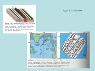 8
Copyright Skinner & Porter 1987
 