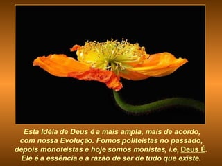 Esta Idéia de Deus é a mais ampla, mais de acordo, com nossa Evolução. Fomos politeistas no passado,  depois monoteistas e hoje somos monistas, i.é,  Deus É .  Ele é a essência e a razão de ser de tudo que existe.   