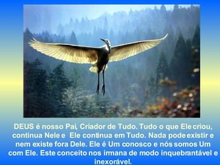 DEUS é nosso Pai, Criador de Tudo. Tudo o que Ele criou, continua Nele e  Ele continua em Tudo. Nada pode existir e nem existe fora Dele. Ele é Um conosco e nós somos Um com Ele. Este conceito nos irmana de modo inquebrantável e inexorável. 