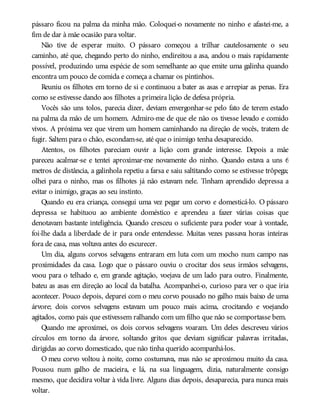 pássaro ficou na palma da minha mão. Coloquei-o novamente no ninho e afastei-me, a
fim de dar à mãe ocasião para voltar.
Não tive de esperar muito. O pássaro começou a trilhar cautelosamente o seu
caminho, até que, chegando perto do ninho, endireitou a asa, andou o mais rapidamente
possível, produzindo uma espécie de som semelhante ao que emite uma galinha quando
encontra um pouco de comida e começa a chamar os pintinhos.
Reuniu os filhotes em torno de si e continuou a bater as asas e arrepiar as penas. Era
como se estivesse dando aos filhotes a primeira lição de defesa própria.
Vocês são uns tolos, parecia dizer, deviam envergonhar-se pelo fato de terem estado
na palma da mão de um homem. Admiro-me de que ele não os tivesse levado e comido
vivos. A próxima vez que virem um homem caminhando na direção de vocês, tratem de
fugir. Saltem para o chão, escondam-se, até que o inimigo tenha desaparecido.
Atentos, os filhotes pareciam ouvir a lição com grande interesse. Depois a mãe
pareceu acalmar-se e tentei aproximar-me novamente do ninho. Quando estava a uns 6
metros de distância, a galinhola repetiu a farsa e saiu saltitando como se estivesse trôpega;
olhei para o ninho, mas os filhotes já não estavam nele. Tinham aprendido depressa a
evitar o inimigo, graças ao seu instinto.
Quando eu era criança, consegui uma vez pegar um corvo e domesticá-lo. O pássaro
depressa se habituou ao ambiente doméstico e aprendeu a fazer várias coisas que
denotavam bastante inteligência. Quando cresceu o suficiente para poder voar à vontade,
foi-lhe dada a liberdade de ir para onde entendesse. Muitas vezes passava horas inteiras
fora de casa, mas voltava antes do escurecer.
Um dia, alguns corvos selvagens entraram em luta com um mocho num campo nas
proximidades da casa. Logo que o pássaro ouviu o crocitar dos seus irmãos selvagens,
voou para o telhado e, em grande agitação, voejava de um lado para outro. Finalmente,
bateu as asas em direção ao local da batalha. Acompanhei-o, curioso para ver o que iria
acontecer. Pouco depois, deparei com o meu corvo pousado no galho mais baixo de uma
árvore; dois corvos selvagens estavam um pouco mais acima, crocitando e voejando
agitados, como pais que estivessem ralhando com um filho que não se comportasse bem.
Quando me aproximei, os dois corvos selvagens voaram. Um deles descreveu vários
círculos em torno da árvore, soltando gritos que deviam significar palavras irritadas,
dirigidas ao corvo domesticado, que não tinha querido acompanhá-los.
O meu corvo voltou à noite, como costumava, mas não se aproximou muito da casa.
Pousou num galho de macieira, e lá, na sua linguagem, dizia, naturalmente consigo
mesmo, que decidira voltar à vida livre. Alguns dias depois, desaparecia, para nunca mais
voltar.
 