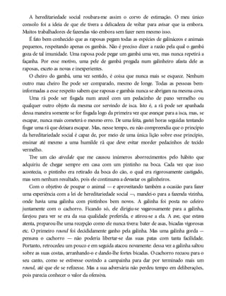 A hereditariedade social roubara-me assim o corvo de estimação. O meu único
consolo foi a ideia de que ele tivera a delicadeza de voltar para avisar que ia embora.
Muitos trabalhadores de fazendas vão embora sem fazer nem mesmo isso.
É fato bem conhecido que as raposas pegam todas as espécies de galináceos e animais
pequenos, respeitando apenas os gambás. Não é preciso dizer a razão pela qual o gambá
goza de tal imunidade. Uma raposa pode pegar um gambá uma vez, mas nunca repetirá a
façanha. Por esse motivo, uma pele de gambá pregada num galinheiro afasta dele as
raposas, exceto as novas e inexperientes.
O cheiro do gambá, uma vez sentido, é coisa que nunca mais se esquece. Nenhum
outro mau cheiro lhe pode ser comparado, mesmo de longe. Todas as pessoas bem-
informadas a esse respeito sabem que raposas e gambás nunca se abrigam na mesma cova.
Uma rã pode ser fisgada num anzol com um pedacinho de pano vermelho ou
qualquer outro objeto da mesma cor servindo de isca. Isto é, a rã pode ser apanhada
dessa maneira somente se for fisgada logo da primeira vez que avançar para a isca, mas, se
escapar, nunca mais cometerá o mesmo erro. De uma feita, gastei horas seguidas tentando
fisgar uma rã que deixara escapar. Mas, nesse tempo, eu não compreendia que o princípio
da hereditariedade social é capaz de, por meio de uma única lição sobre esse princípio,
ensinar até mesmo a uma humilde rã que deve evitar morder pedacinhos de tecido
vermelho.
Tive um cão airedale que me causou inúmeros aborrecimentos pelo hábito que
adquiriu de chegar sempre em casa com um pintinho na boca. Cada vez que isso
acontecia, o pintinho era retirado da boca do cão, o qual era rigorosamente castigado,
mas sem nenhum resultado, pois ele continuava a devastar os galinheiros.
Com o objetivo de poupar o animal — e aproveitando também a ocasião para fazer
uma experiência com a lei de hereditariedade social —, mandei-o para a fazenda vizinha,
onde havia uma galinha com pintinhos bem novos. A galinha foi posta no celeiro
juntamente com o cachorro. Ficando só, ele dirigiu-se vagarosamente para a galinha,
farejou para ver se era da sua qualidade preferida, e atirou-se a ela. A ave, que estava
atenta, preparou-lhe uma recepção como ele nunca tivera: bater de asas, bicadas vigorosas
etc. O primeiro round foi decididamente ganho pela galinha. Mas uma galinha gorda —
pensava o cachorro — não poderia libertar-se das suas patas com tanta facilidade.
Portanto, retrocedeu um pouco e em seguida atacou novamente: dessa vez a galinha saltou
sobre as suas costas, arranhando-o e dando-lhe fortes bicadas. O cachorro recuou para o
seu canto, como se estivesse ouvindo a campainha para dar por terminado mais um
round, até que ele se refizesse. Mas a sua adversária não perdeu tempo em deliberações,
pois parecia conhecer o valor da ofensiva.
 