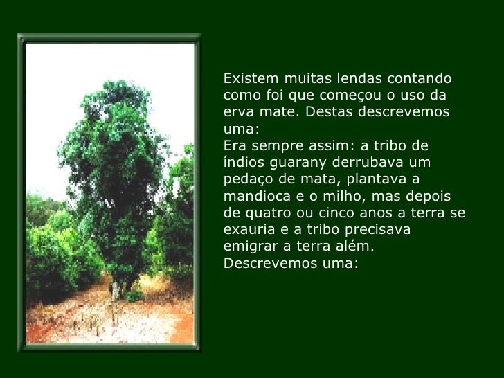 A Lenda Da Erva Mate A Lenda Da Erva Mate
