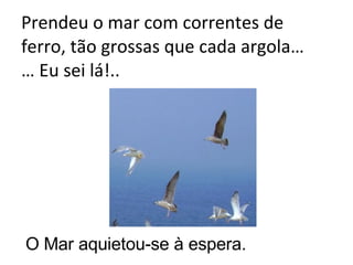 Prendeu o mar com correntes de ferro, tão grossas que cada argola… … Eu sei lá!.. O Mar aquietou-se à espera.  