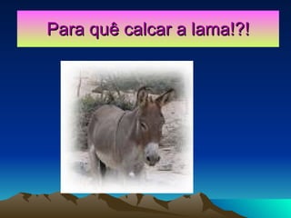 Para quê calcar a lama!?! 