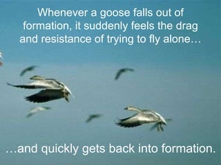 Geese Falling A Lesson From Geese | PPS