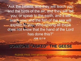 “ Ask the beasts, and they will teach you; and the birds of the air, and they will tell you; or speak to the earth, and it will teach you; and the fish of the sea will explain to you. Who among all these does not know that the hand of the Lord has done this?” JOB 12:7-9 SOMEONE “ASKED” THE GEESE PLEASE PASS THIS MESSAGE ON TO OTHERS! 