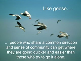 …  people who share a common direction and sense of community can get where they are going quicker and easier than those who try to go it alone. Like geese…   