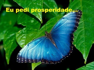 Eu pedi prosperidade... 