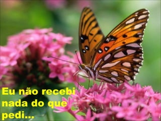 Eu não recebi nada do que pedi... 