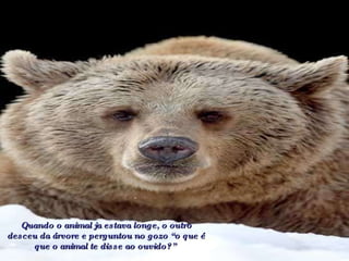Quando o animal ja estava longe, o outro desceu da árvore e perguntou no gozo “o que é que o animal te disse ao ouvido?”   