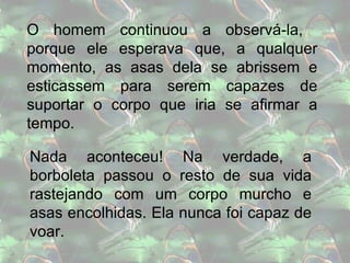O homem continuou a observá-la,  porque ele esperava que, a qualquer momento, as asas dela se abrissem e esticassem para serem capazes de suportar o corpo que iria se afirmar a tempo. Nada aconteceu! Na verdade, a borboleta passou o resto de sua vida rastejando com um corpo murcho e asas encolhidas. Ela nunca foi capaz de voar.  
