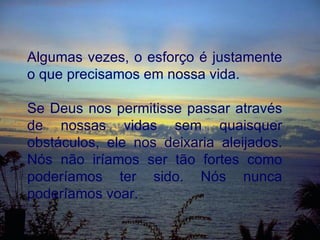 Algumas vezes, o esforço é justamente o que precisamos em nossa vida. Se Deus nos permitisse passar através de nossas vidas sem quaisquer obstáculos, ele nos deixaria aleijados. Nós não iríamos ser tão fortes como poderíamos ter sido. Nós nunca poderíamos voar. 
