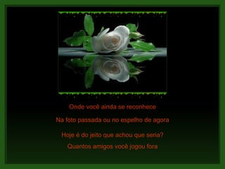 Onde você ainda se reconhece Hoje é do jeito que achou que seria? Quantos amigos você jogou fora Na foto passada ou no espelho de agora Caio 
