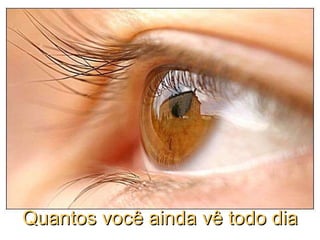 Quantos você ainda vê todo dia 