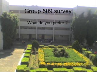 A little survey of my group 509