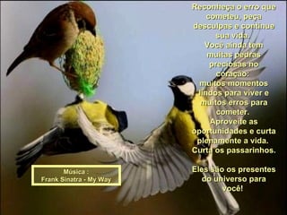 Reconheça o erro que cometeu, peça desculpas e continue sua vida.  Você ainda tem muitas pedras preciosas no coração:  muitos momentos lindos para viver e muitos erros para cometer.  Aproveite as oportunidades e curta plenamente a vida.  Curta os passarinhos.  Eles são os presentes do universo para você!  Música : Frank Sinatra - My Way 