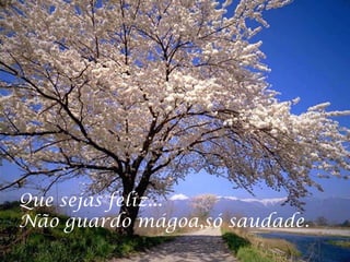 Que sejas feliz...
Não guardo mágoa,só saudade.
 