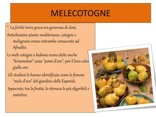 MELECOTOGNE
”. La fertile terra greca era generosa di doni,
Antichissime piante mediteranee, cotogne e
melograno erano entrambe consacrate ad
Afrodite.
Le mele cotogne o kidonie erano dette anche
“krisomelon” ossia “pomi d’oro”, per il loro colore
giallo oro.
Gli studiosi le hanno identificate come le famose
“mele d’oro” del giardino delle Esperidi.
Ippocrate, tra la frutta, le riteneva le più digeribili e
nutritive..
 
