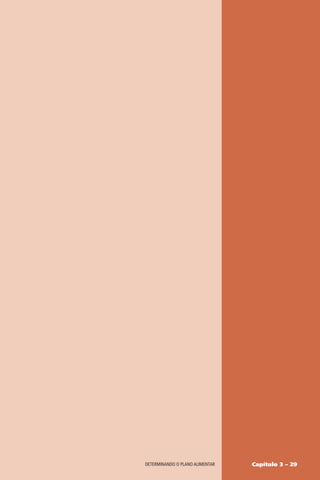 Capítulo 3 – 29
DETERMINANDO O PLANO ALIMENTAR
 