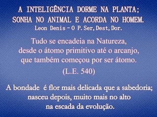 Tudo se encadeia na Natureza,
desde o átomo primitivo até o arcanjo,
que também começou por ser átomo.
(L.E. 540)
 