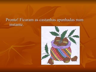 Pronto! Ficaram as castanhas apanhadas num instante.  