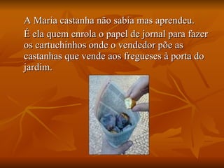 A Maria castanha não sabia mas aprendeu. É ela quem enrola o papel de jornal para fazer os cartuchinhos onde o vendedor põe as castanhas que vende aos fregueses à porta do jardim. 