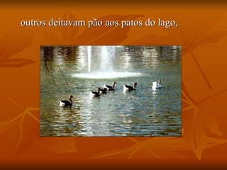 outros deitavam pão aos patos do lago,  