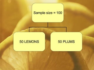 Sample size = 100 50 LEMONS 50 PLUMS 