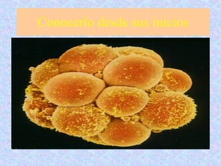 Conocerlo desde sus inicios 