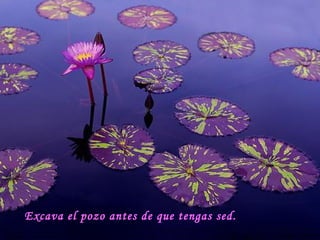 Excava el pozo antes de que tengas sed. 