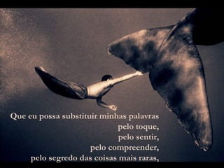 Que eu possa substituir minhas palavras pelo toque, pelo sentir, pelo compreender, pelo segredo das coisas mais raras, 