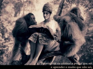 Permita-me eu ensinar o pouco que sei e aprender o muito que não sei, 