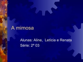 A mimosa Alunas: Aline,  Letícia e Renata Série: 2ª 03  
